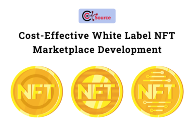 Cost-Effective White Label NFT Marketplace Development