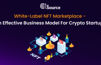 White-Label NFT Marketplace – An Effective Business Model For Crypto Startups