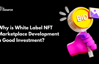 Why is White Label NFT Marketplace Development a Good Investment?